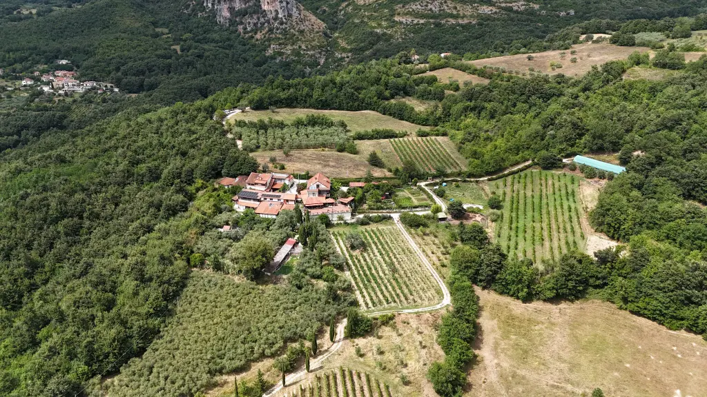 Le Campestre Conciato Romano