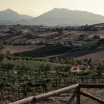 Paesaggio Emidio Pepe. Foto di AlbertoBlasetti