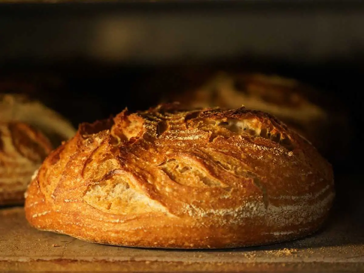 Pane di Forno Brisa
