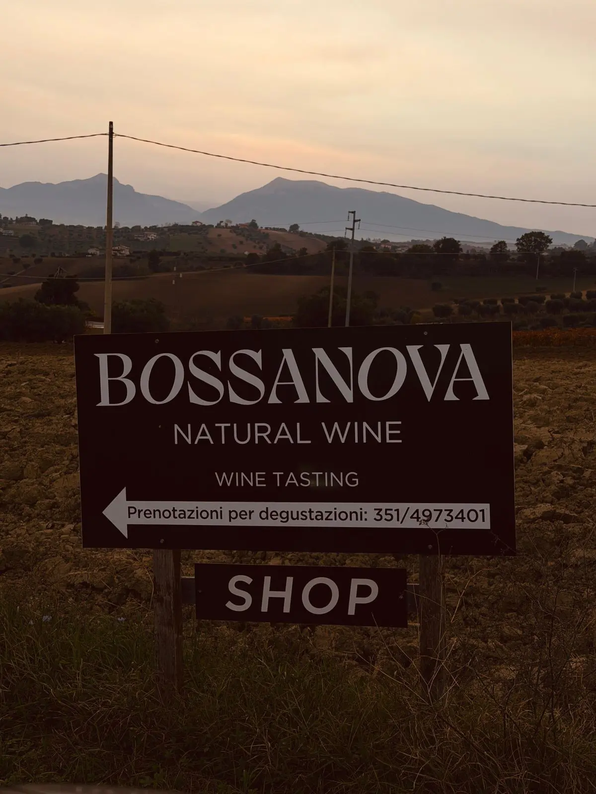 Vini Bossanova