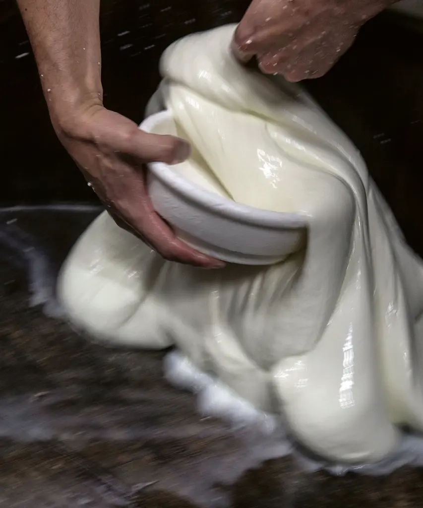 filatura mozzarella