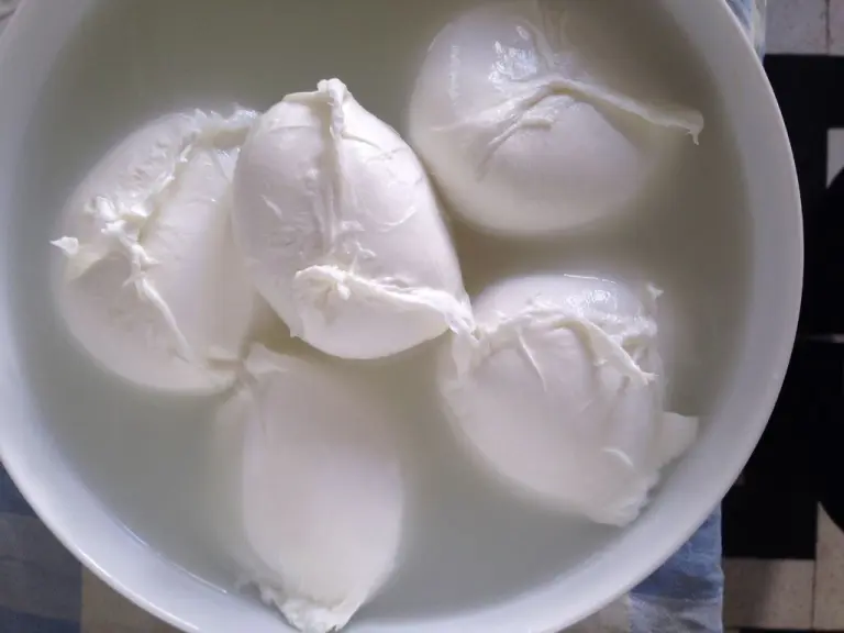 mozzarella di bufala