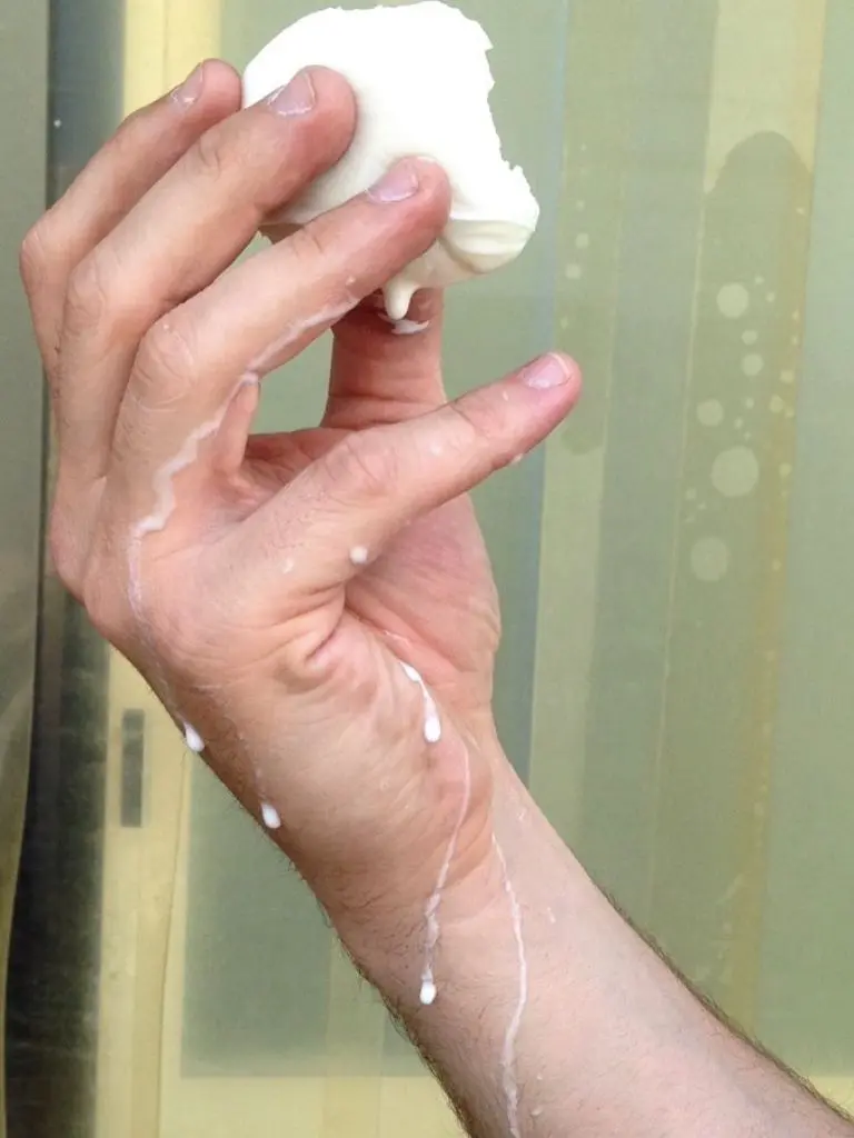 mozzarella di bufala