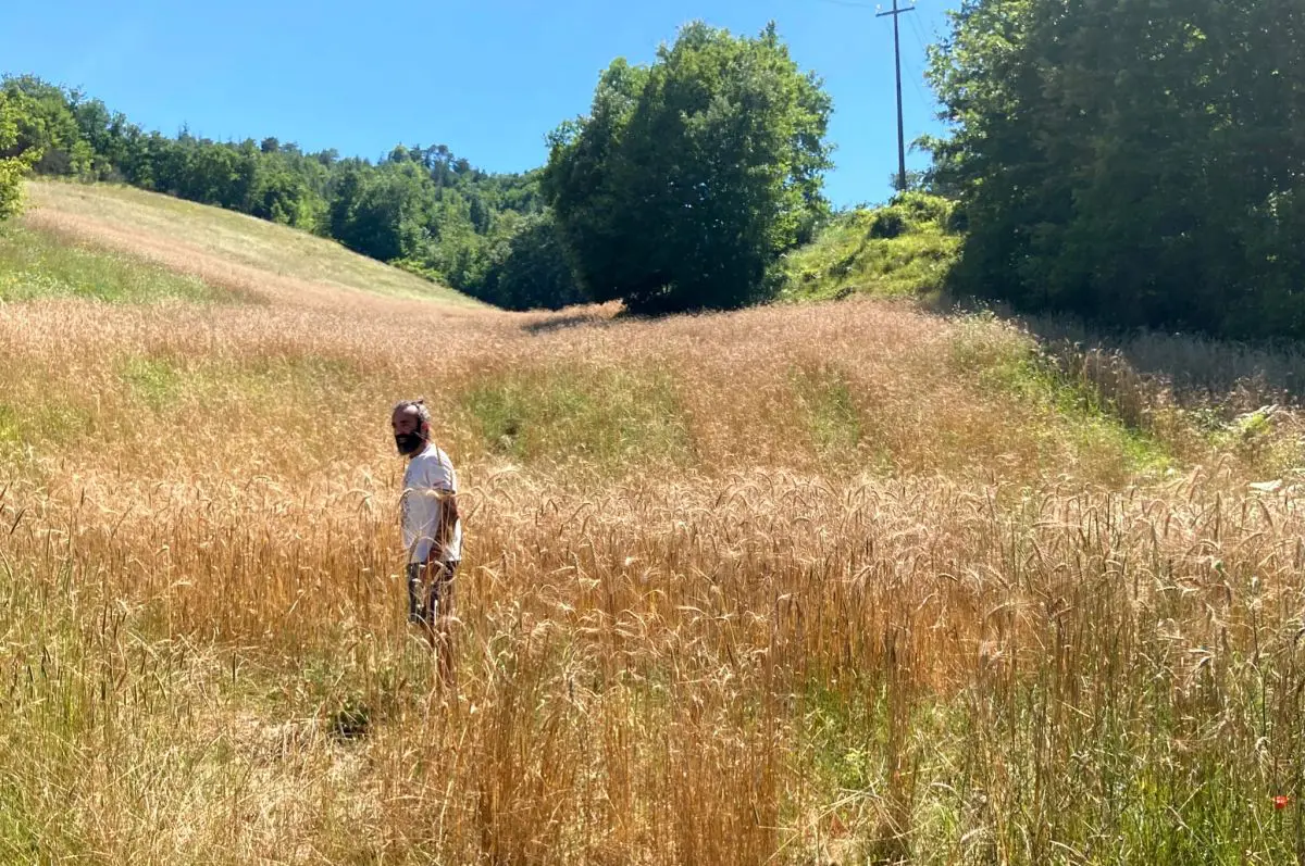 Cristiano Baldocini nei suoi campi di grano