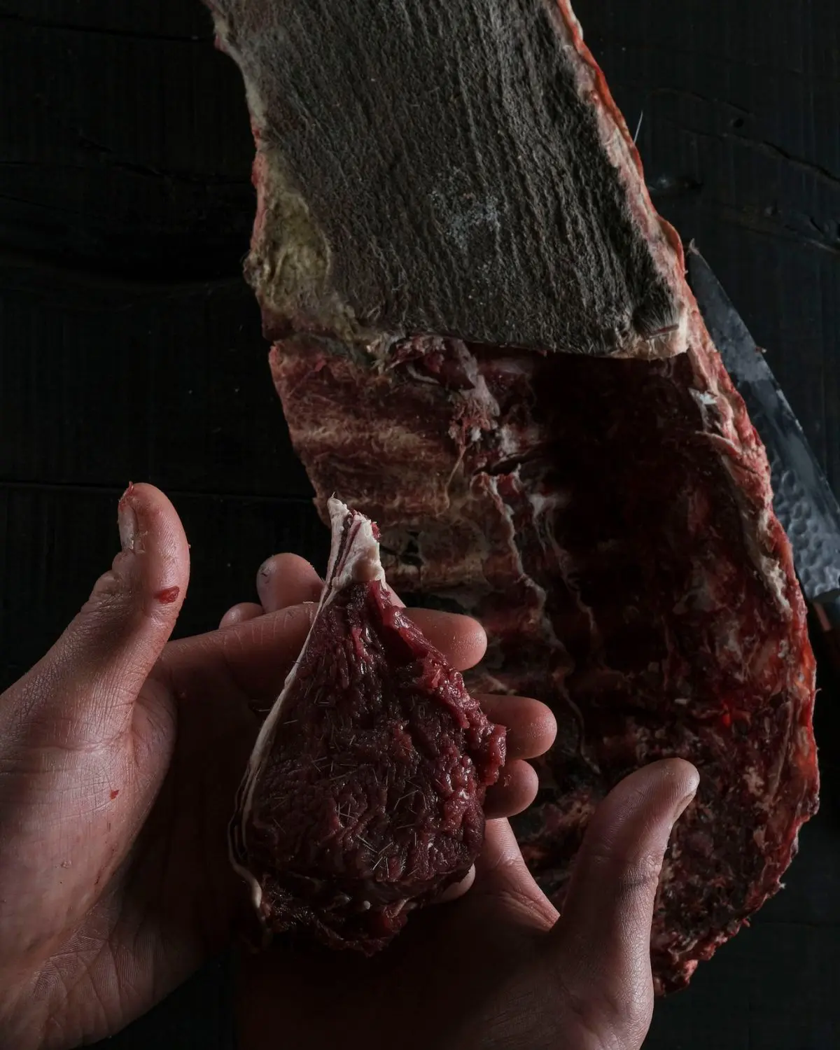 Edoardo Tilli che tocca un pezzo di carne. Foto di Lido Vannucchi