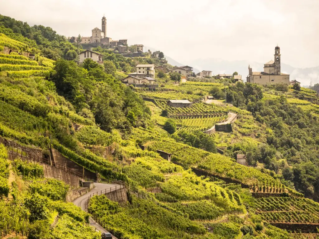 Top Italian Wines Roadshow Kyiv