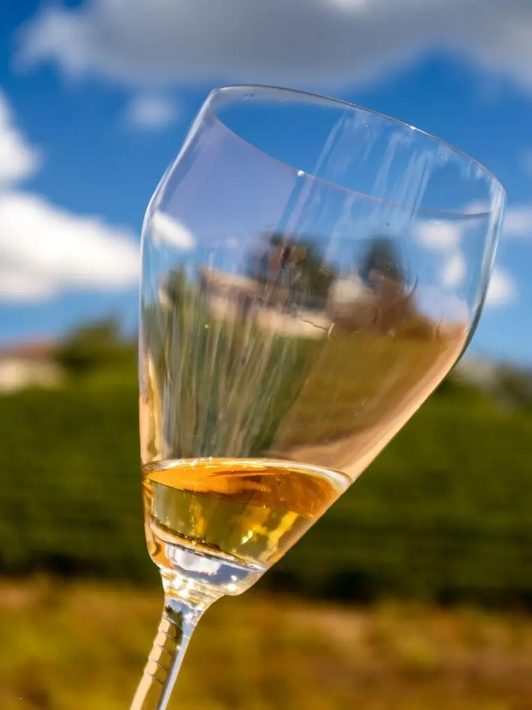 moscato calice