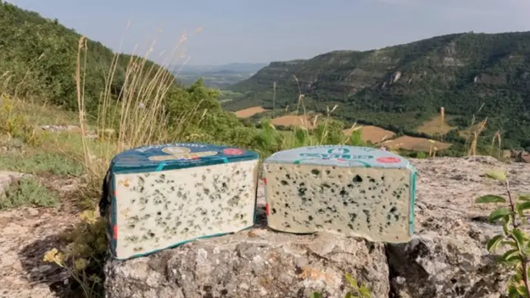 Roquefort-sur-Soulzon