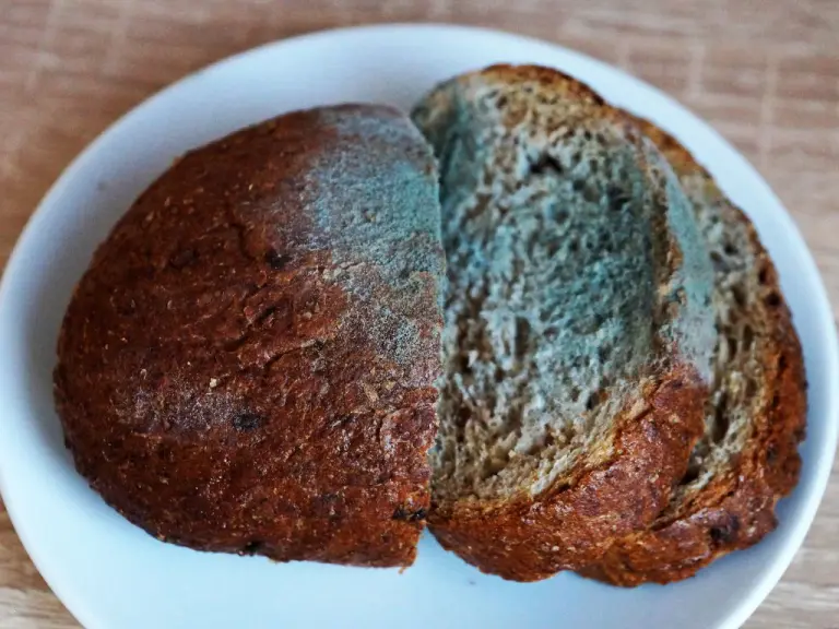 muffa nobile p. roqueforti pane segale