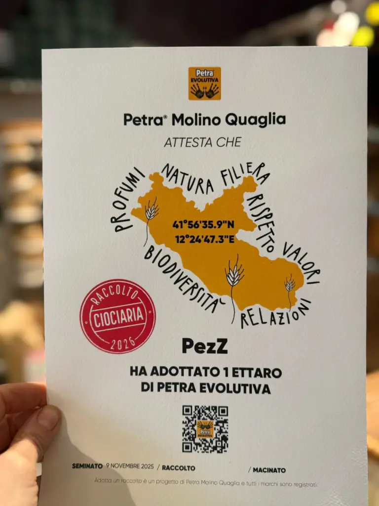 cartolina che racconta il progetto Neogrania e Roberta Pezzella