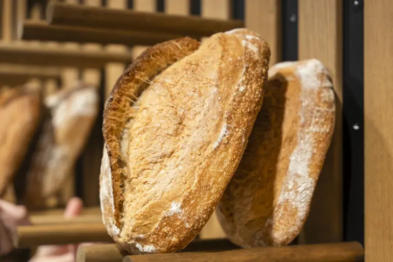 Il pane di Filippo Venturi