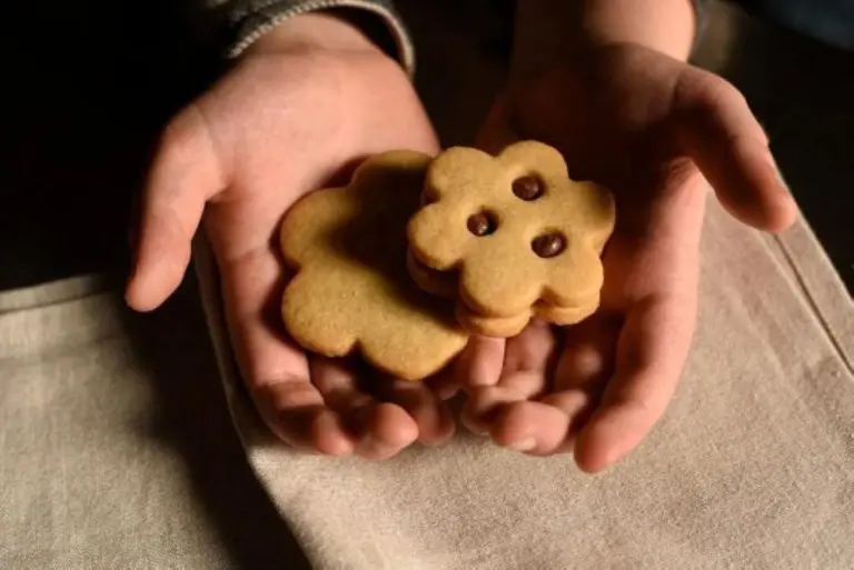 biscotti Giulia Foppoli del panificio Le Lucciole a Lucca
