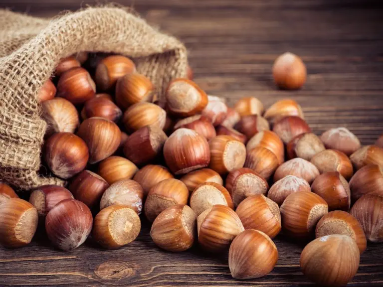 nocciole