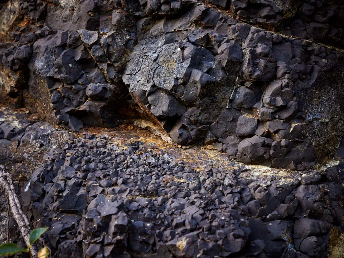 Il suolo vulcanico della zona Carbonare 