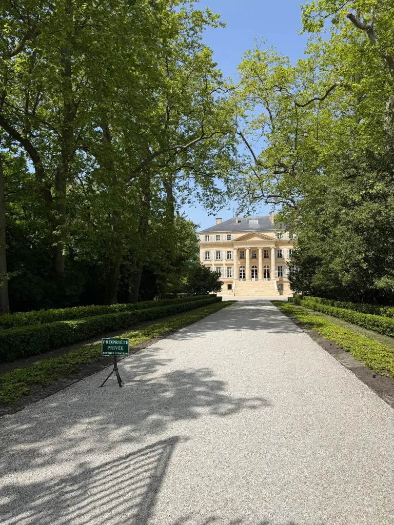 semi di finocchio