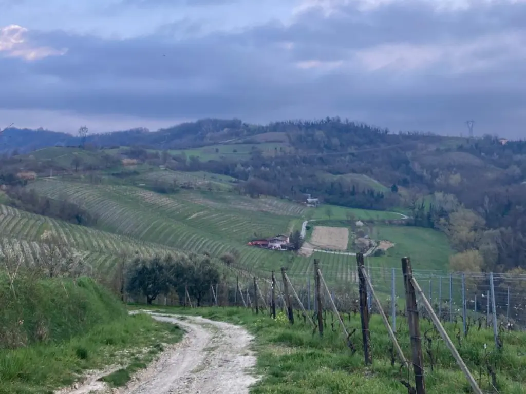 Cascina San Leto a Costa Vescovato, al centro di un anfiteatro con la vigne della cantina di Daniele Ricci