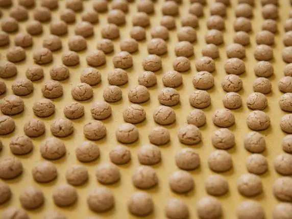 Preparazione della pasta fresca ripiena