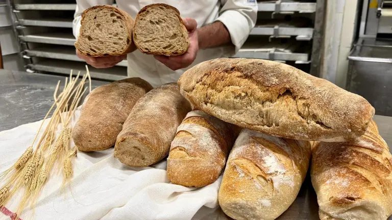 La palata il pane di Masaniello