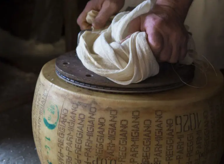 Parmigiano Reggiano Bianca Modenese