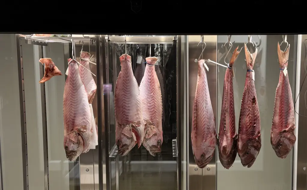 Una delle celle di maturazione di Dorsale