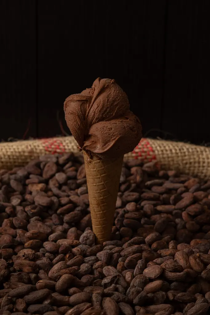 gelato bean to cone
