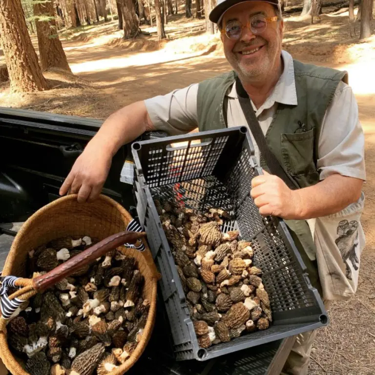 garro forager spugnole