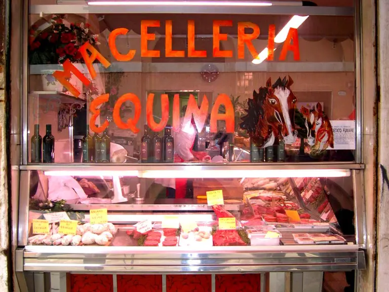 carne di cavallo