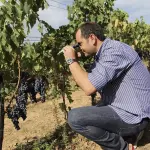 Mauro Colacino di Colacino Wines tra i vigneti
