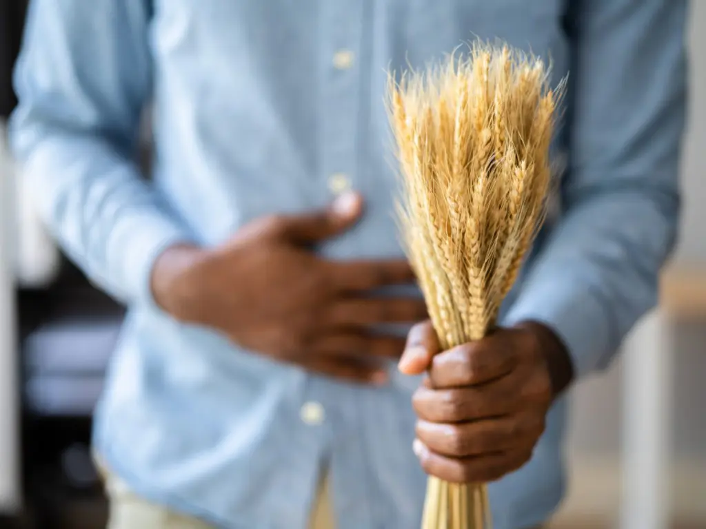Spighe di grano