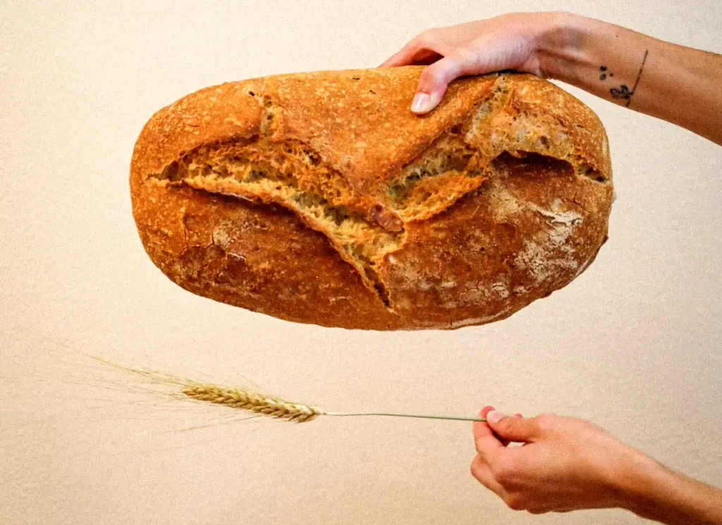 Pane di panificio Davide Longoni