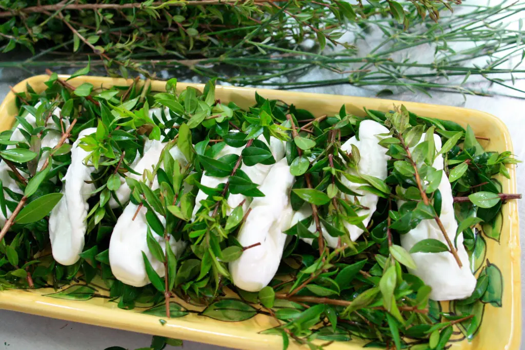 mozzarella nella mortella