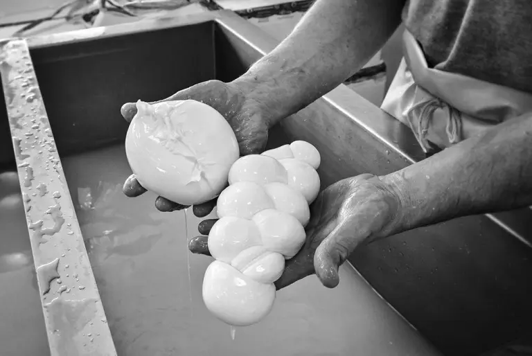 mozzarelle di bufala la cilentana