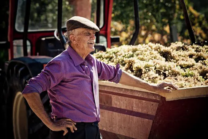 Emidio Pepe nella sua cantina in mezzo alle vigne