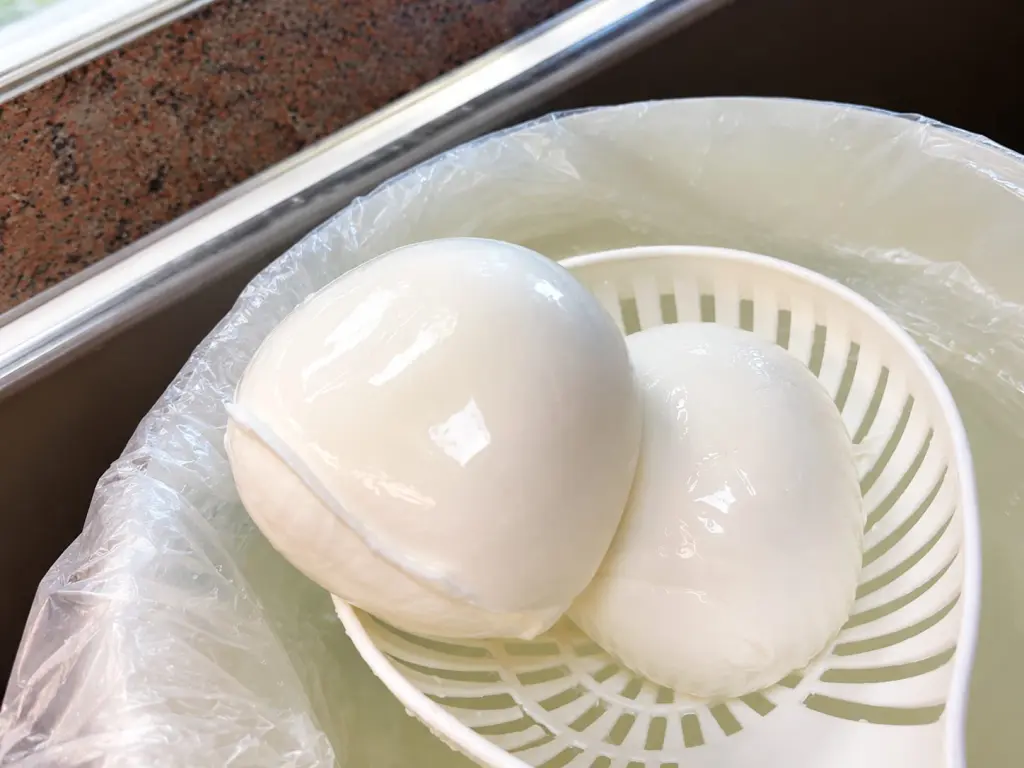 la mozzarella di bufala che si può acquistare vicino all'Autostrada nei pressi di orte