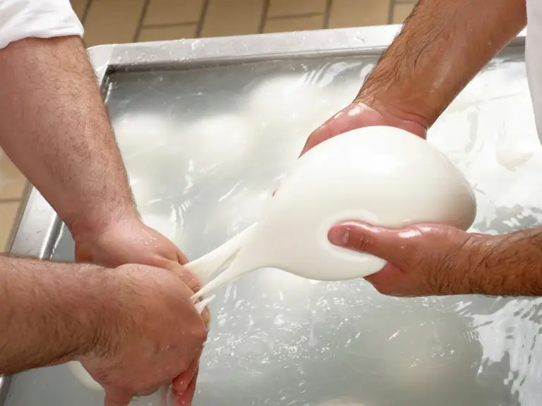 mozzarella mozzata a mano