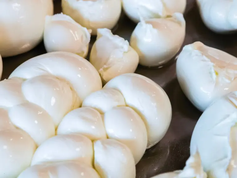 Mozzarella di bufala appena filata in un caseificio della Piana del Sele lungo la SS18 tra Salerno e Paestum
