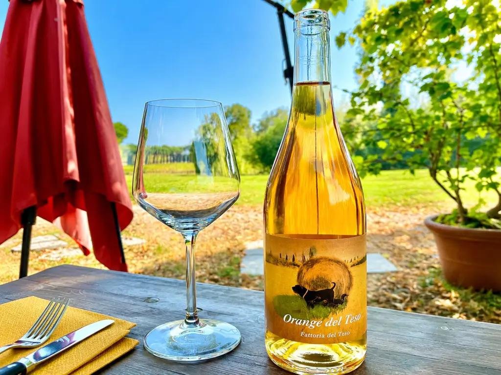 Calice di orange wine da vermentino prodotto da Fattoria del Teso a Montecarlo in Toscana