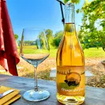 Calice di orange wine da vermentino prodotto da Fattoria del Teso a Montecarlo in Toscana