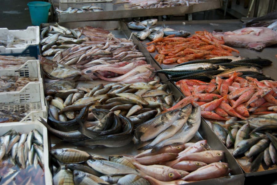 mercato ittico