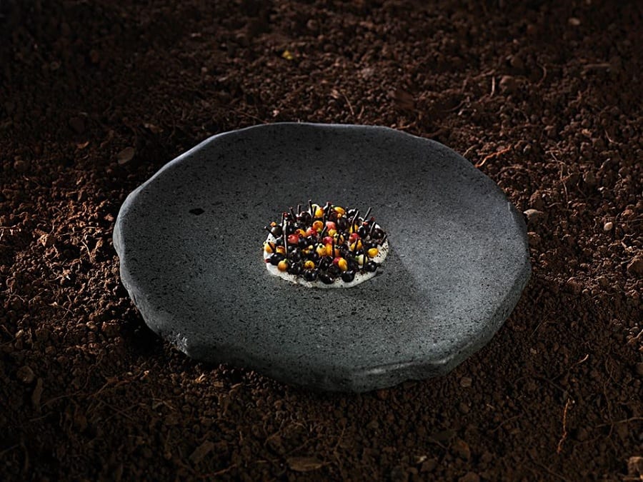 Un piatto di Rodolfo Guzman, su pietra nera e terra