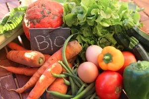 prodotti alimentari bio, ortaggi e uova