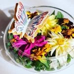 Un dessert di Fabrizio Fiorani dedicato alla primavera: una farfalla dolce tra i fiori