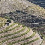 211220 Paesaggio vinicolo in alto Douro