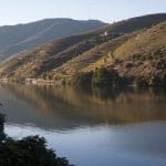 229 Il fiume Douro nella regione vinicola demarcata del Douro