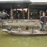 Pescatori con pellicani a Xitang villaggio sullacqua in Cina