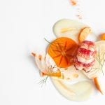 EADIM-Eleven-Madison-Cookbook-Lobster-Fennel-Orange-Persimmon-02