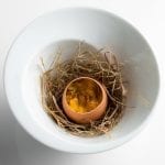 Coddled free range hen egg with woodland mushroom and smoked butter