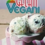 gelati vegani