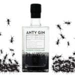 anty-gin