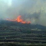 Pantelleria in fiamme 3
